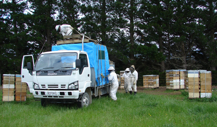 Grupo de apicultores cargando un camión con equipo después de la visita al apiario