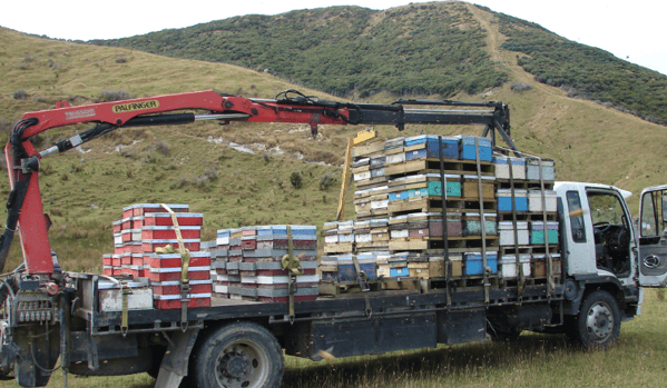 Camión cargado de colmenas para transporte a otro apiario