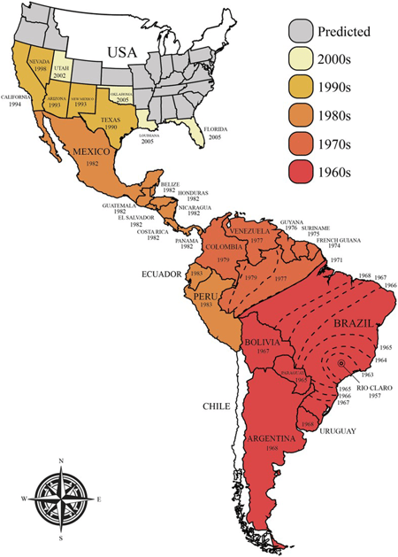 Mapa del proceso de Africanización en las américas