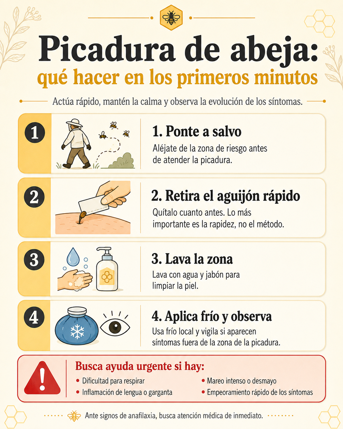 Infografía con una guía rápida sobre qué hacer ante una picadura de abeja y cuándo buscar atención médica.