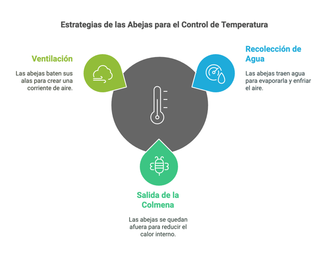 Estrategias para la regulación de la temperatura