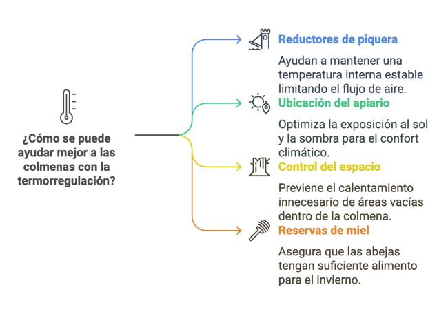 Esquema de los diferentes métodos para ayudar a las abejas a regular mejor la temeperatura de la colmena