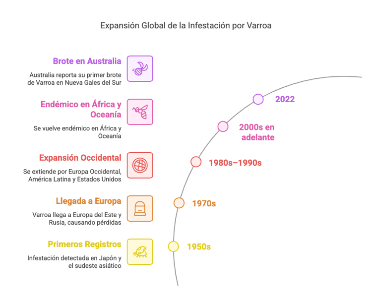 Gráfico de la secuencia temporal de la expansión de Varroa destructor en el mundo