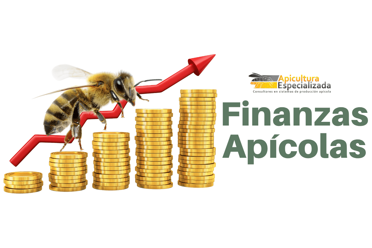Abeja en un gráfico ascendente de rentabilidad en la apicultura